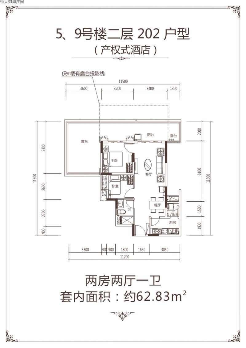 202户型图