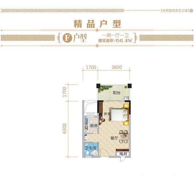 F户型