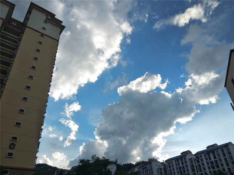 实景图