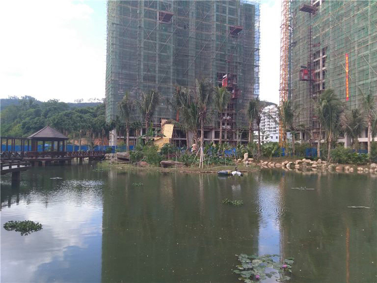 实景图