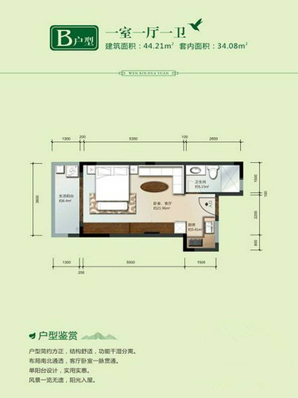 B户型