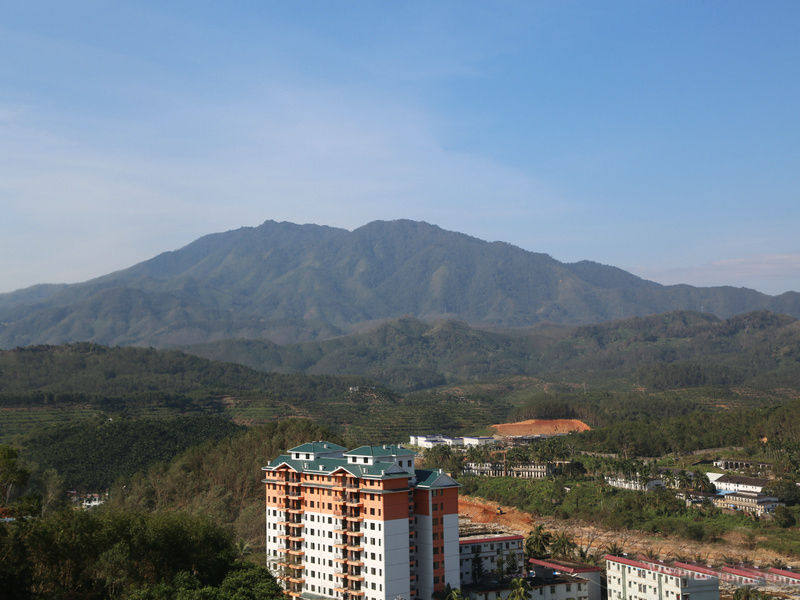 实景图