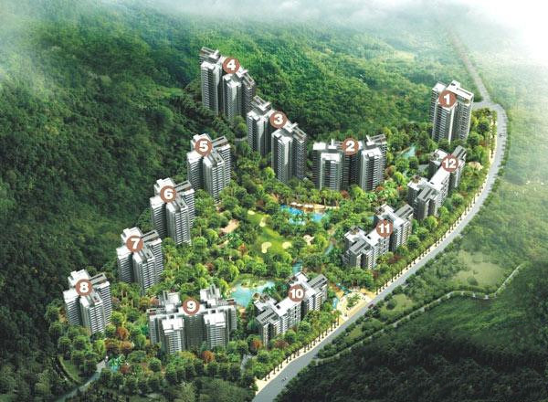 效果图