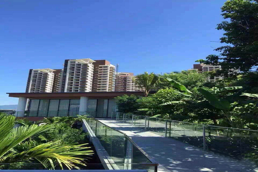 实景图