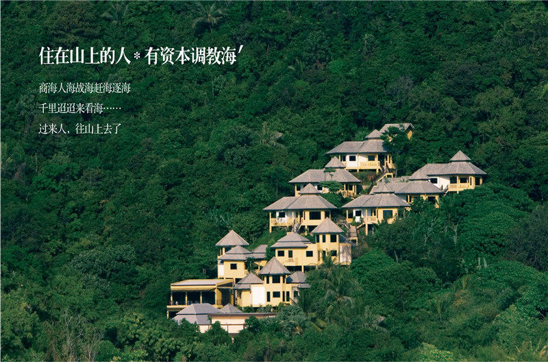实景图
