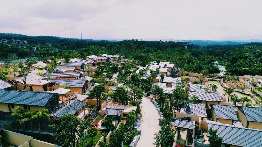 实景图