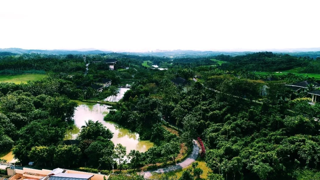 实景图