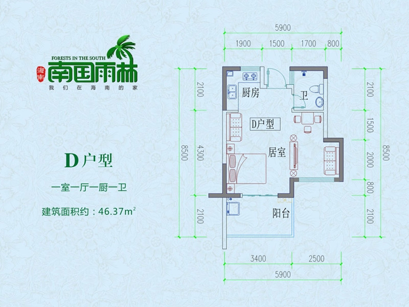 D户型