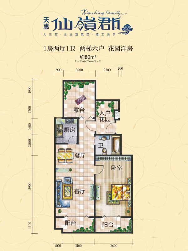 花园洋房一房户型