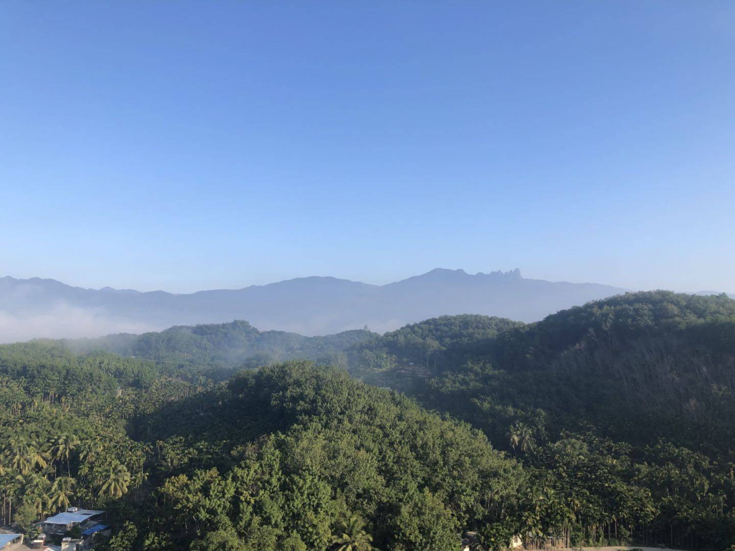 实景图