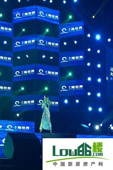 效果图2015年12月28日远大举办演唱会活动现场