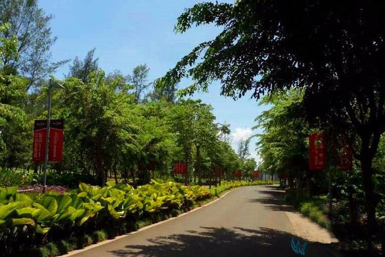 效果图海南海口鸿洲江山实景图