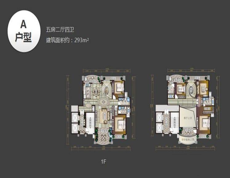 5室2厅4卫1厨