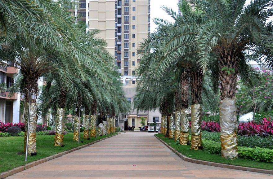 效果图小区园林实景