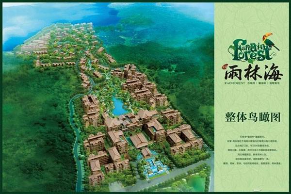 海南万宁安富雨林海全景图