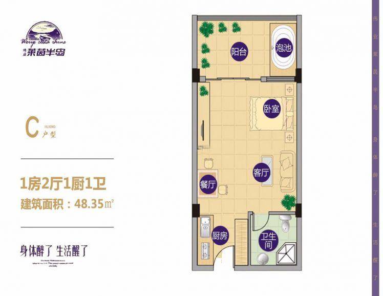 海南万宁伟业莱茵半岛户型图