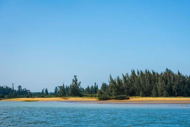 恒大御海天下生态资源：原生海景