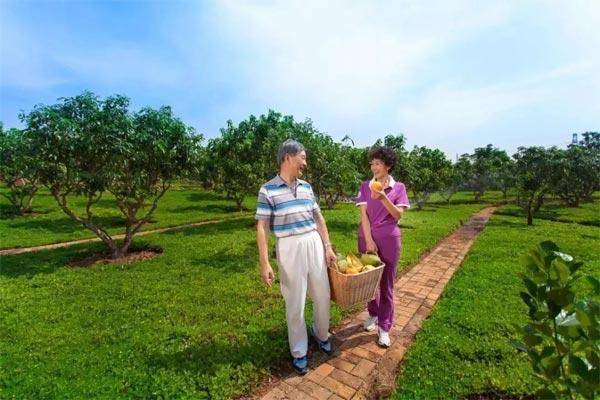 富力红树湾配套图