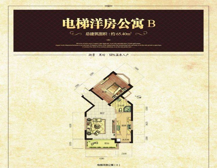 海南海口美兰高尔夫温泉电梯洋房公寓B  1室1厅1卫1厨 建筑面积：65.40㎡