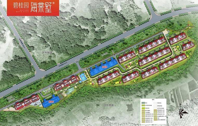 碧桂园海棠墅规划效果图
