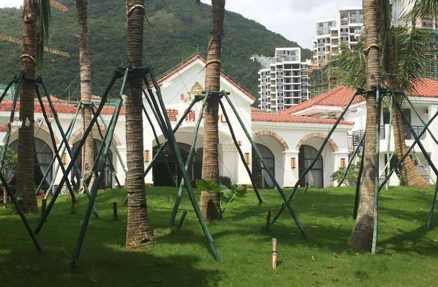 海南三亚津蘭山水御墅实景图