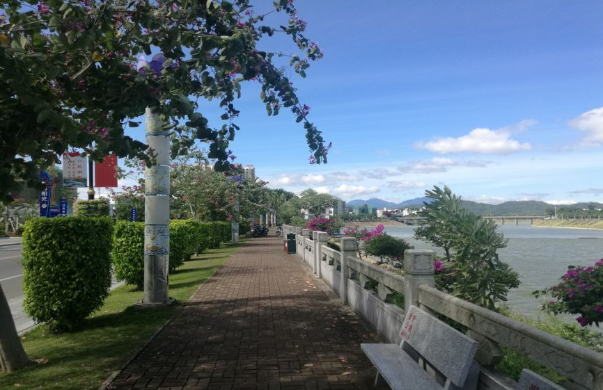 乐东清凤椰林阳光实景图