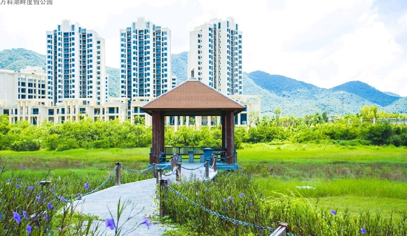 万科湖畔度假公园实景图