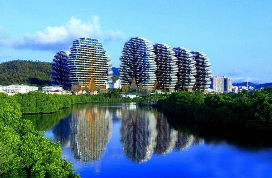 美丽之冠大树公馆实景图