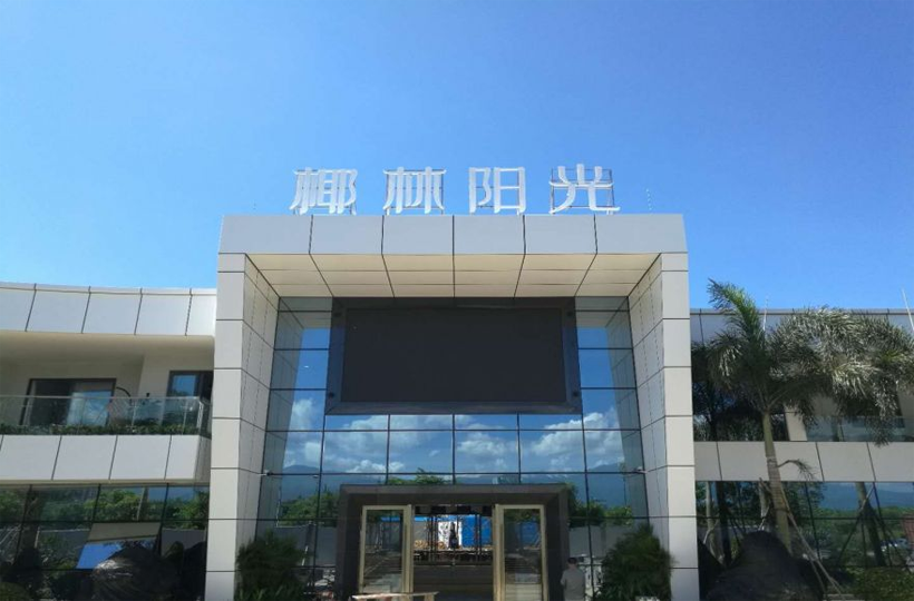 乐东清凤椰林阳光实景图