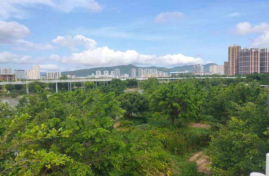 三亚公园88号实景图
