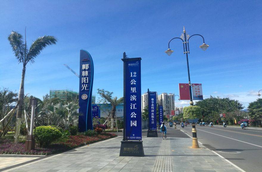 清凤椰林阳光实景图