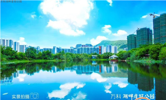 海南三亚万科湖畔度假公园实景图