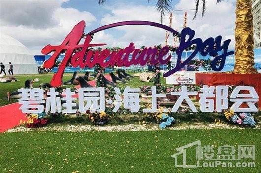 海南三亚碧桂园海上大都会怎么样?项目房价多少? </h1>(图4)